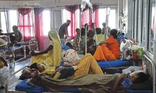 Dengue, viral fevers rampant in Anantapur