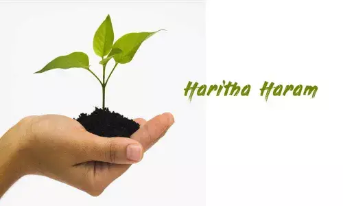 Haritha Haram highlighted at IUFRO World Congress