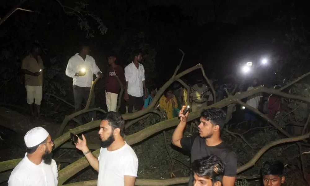 Opposition parties slam Shiv Sena, BJP for slaughter of trees in Aarey Colony