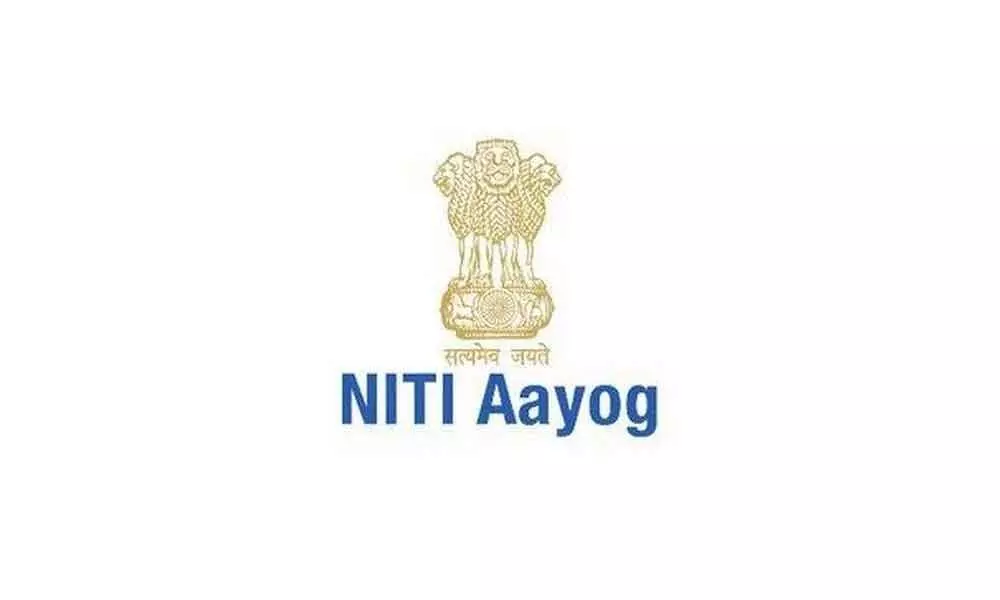 H2 growth likely to be better: Niti Aayog