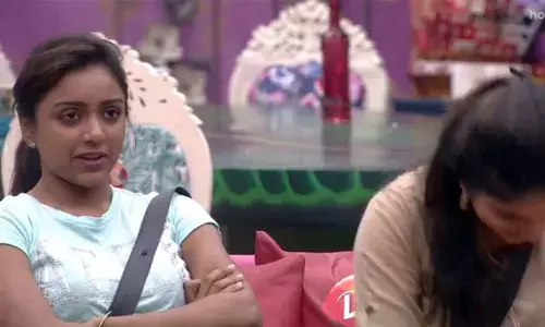 Bigg Boss Telugu Season 3: Nagarjunas Controversial Question to Vithika