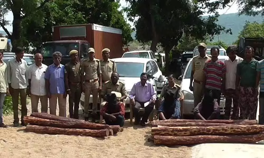 Red sanders worth 20 lakh seized, 10 held