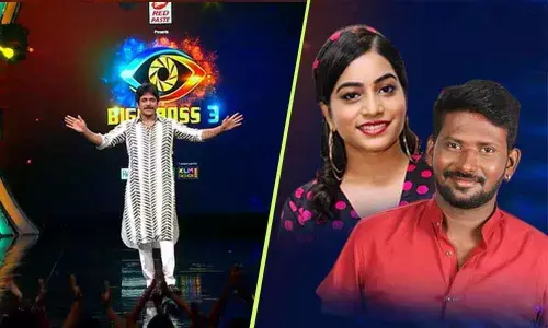 Bigg Boss Telugu Season 3: This Contestant To Get Eliminated?