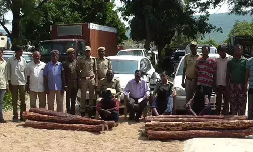 Red sanders worth 20 lakh seized, 10 held