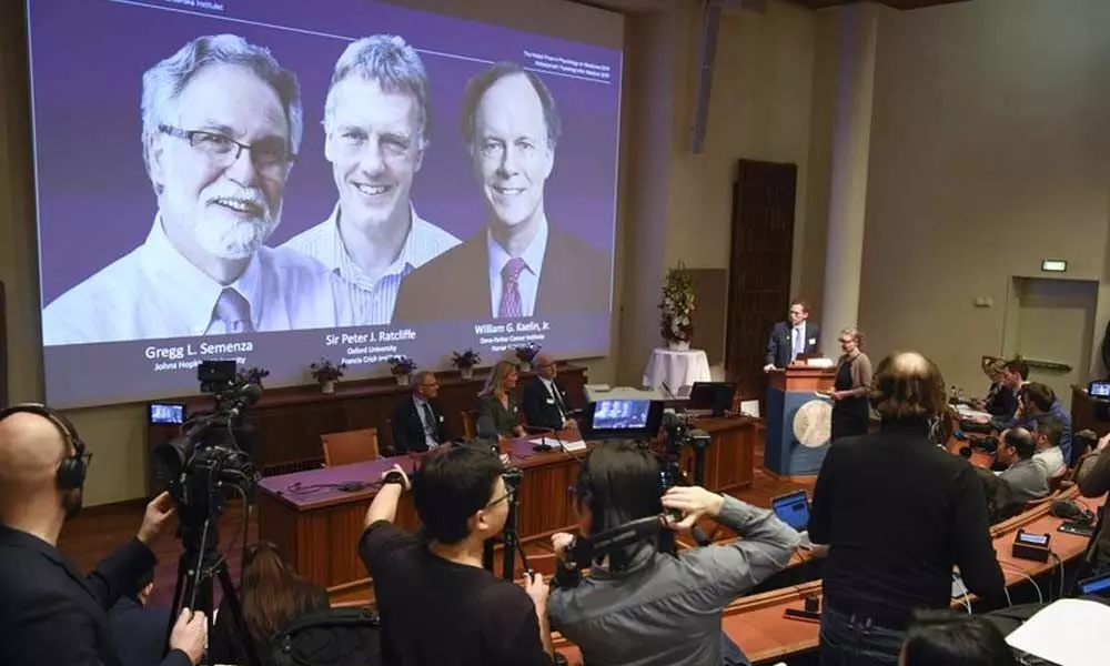 Three Doctors Have Won Noble prizes For The extraordinary works in Medical field