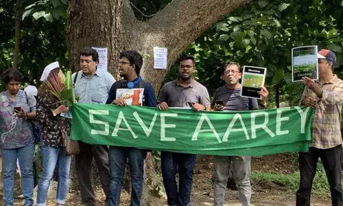 Supreme Court asks governmment not to cut anymore trees in  Aarey