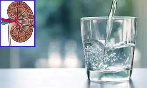 Canadian Researchers develop a computer kidney