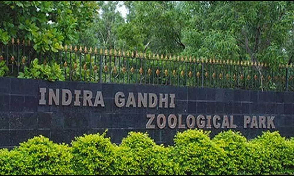 Visakha Indira Gandhi Zoo Park Celebrates 65th Wildlife Conservation Weekend: Zoo Park To Be Developed as Tourist spot
