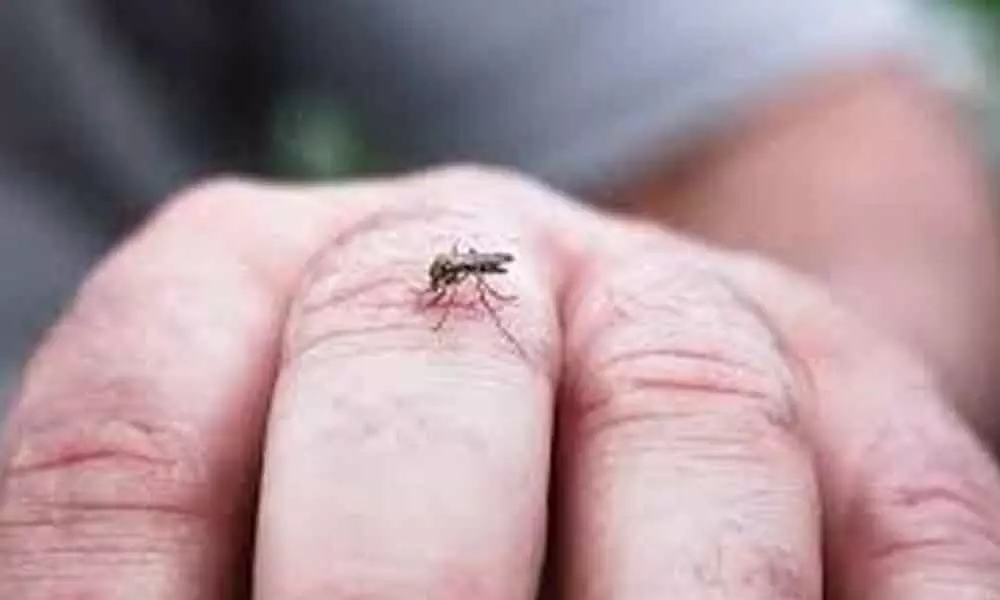 11 doctors test positive for dengue in Aurangabad