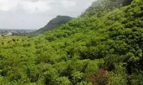 Centre to mull 1400 km of great green wall to India to tackle desertification