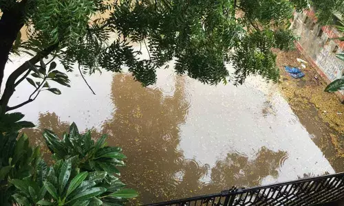 Water logging makes life hell