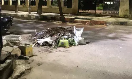 Demand for fumigation to eliminate mosquitoes