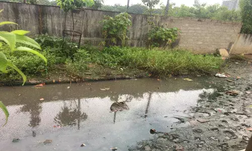 Motorists travails on Botanical Garden road