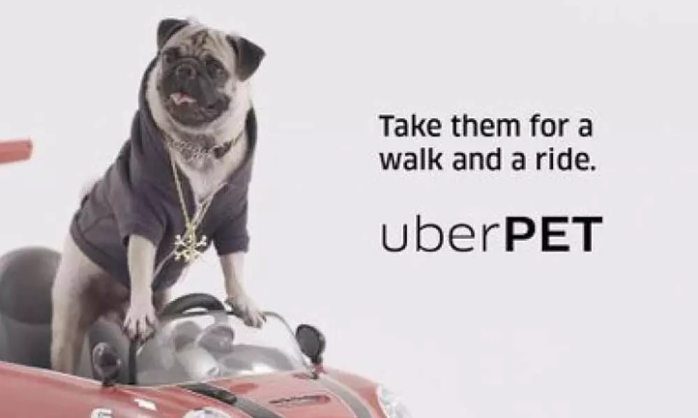 Uber Pet will solve pet-lovers biggest problem