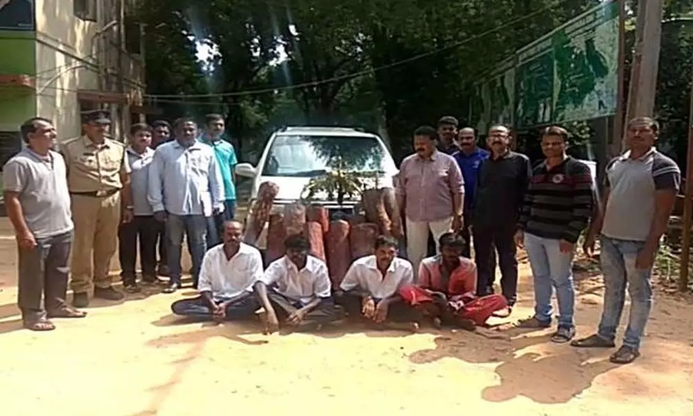 4 Red sandalwood smugglers held in Tirupati