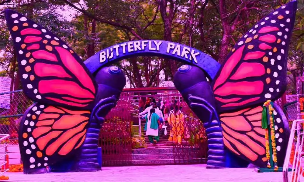Visitors charmed by first butterfly park of India