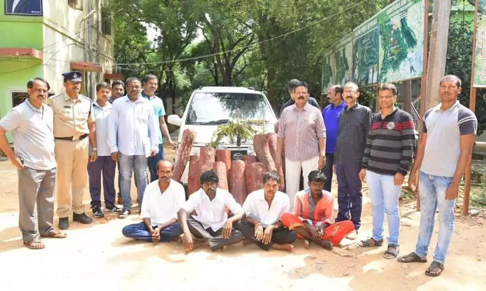4 red sanders smugglers arrested near Alipiri in Tirupati