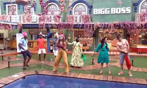 Bigg Boss Telugu Season 3: Bigg Boss Birthday Celebrations In House