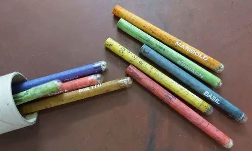 Youth launch drive for plastic visarjan in hyderabad city