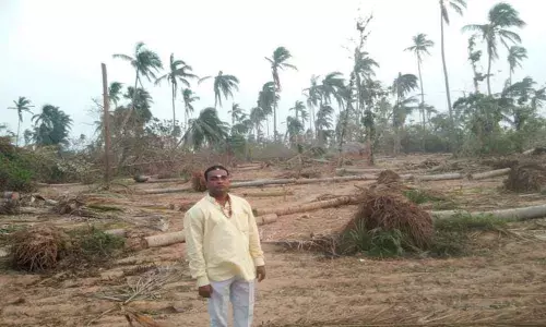 Titli farmers waiting for succour even after one year in Srikakulam