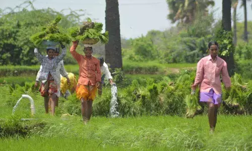 Telangana State for judicious use of welfare funds