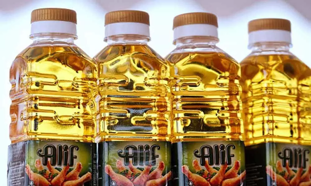 India may restrict imports of palm oil, other goods from Malaysia: report