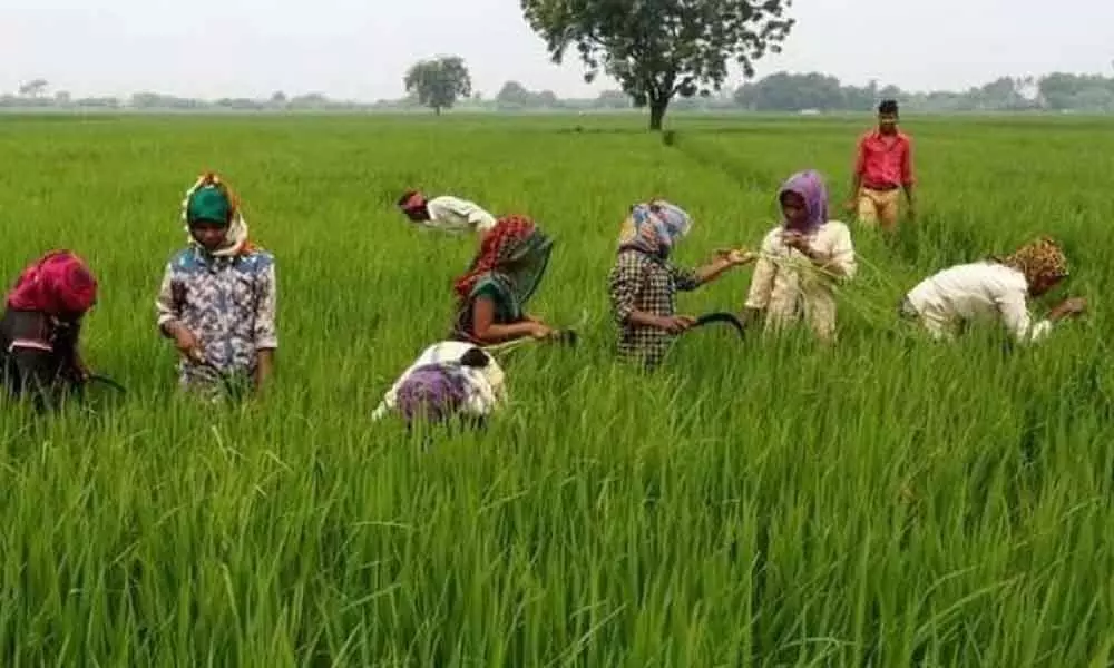 Upper caste farmers unhappy in Kadapa