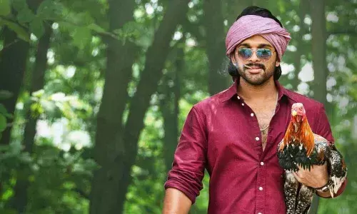 Bunny to rev up Sankranthi festivities