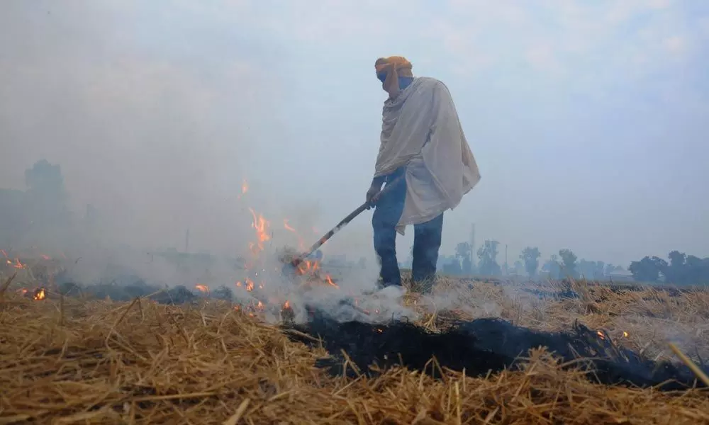 Punjab CM seeks support to shun stubble burning