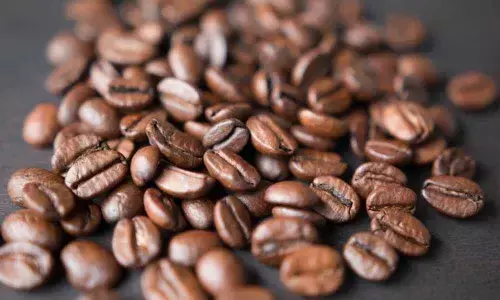Coffee bean extracts can reduce fat-induced inflammation