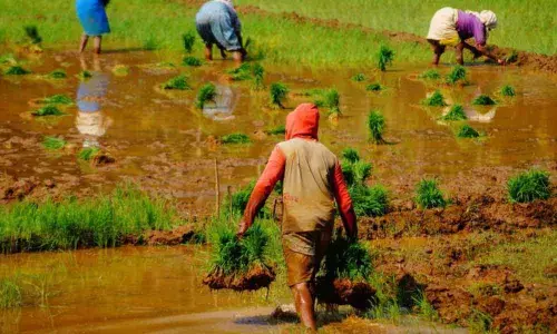 No Bharosa for 2.16 lakh  farmers in Chittoor district