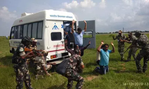 Amaravati: Strategies for prevention  of bird strikes discussed