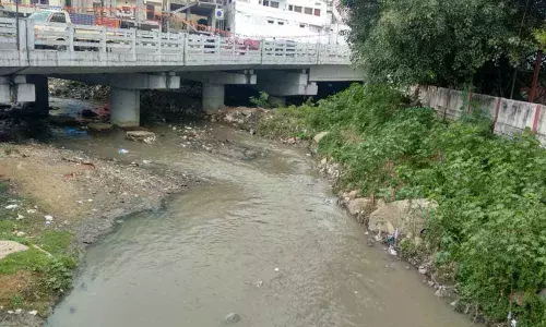 Untreated industrial wastes dumped in nala