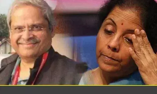 Adopt Rao-Singh eco model: Finance Ministers hubby