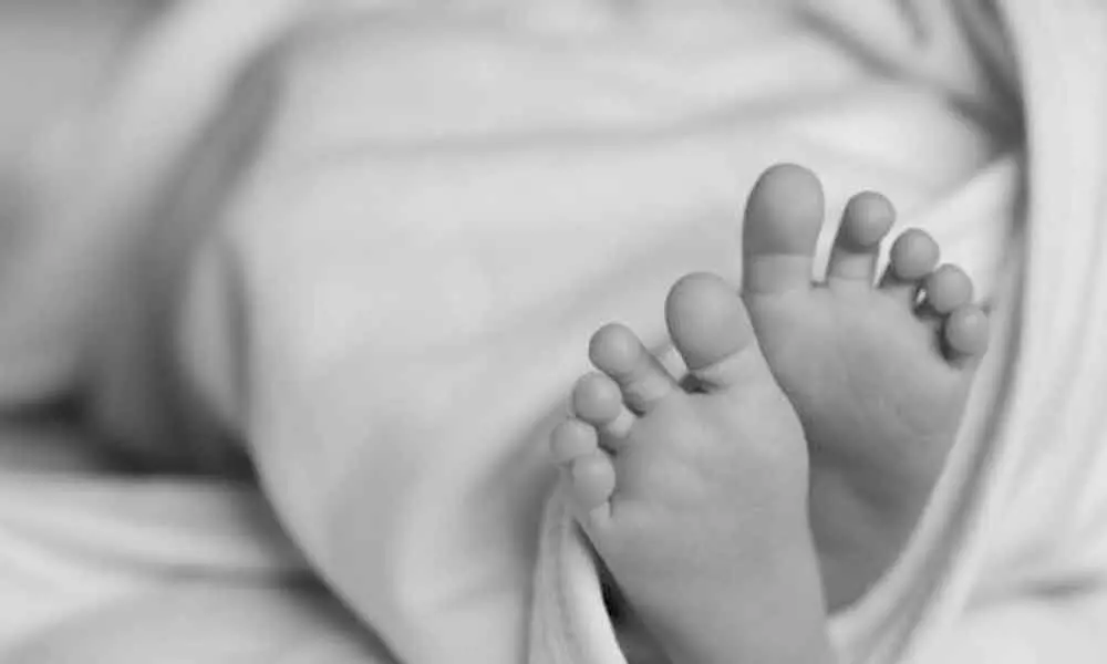 Newborn Babys Head Found In Banjara Hills Graveyard