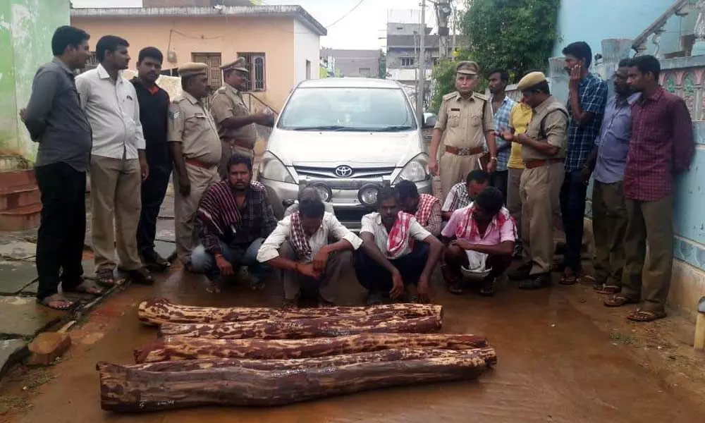 8 persons arrested on the charges of transporting red sander logs
