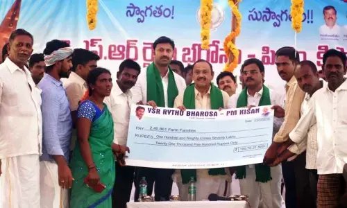 Festive look prevailed in Kadapa district