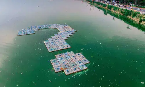 A big Why on plastic menace