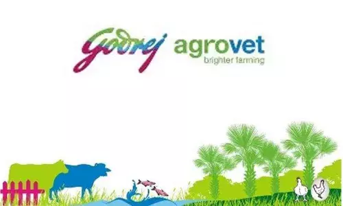 83% milk non-consumers protein deficient