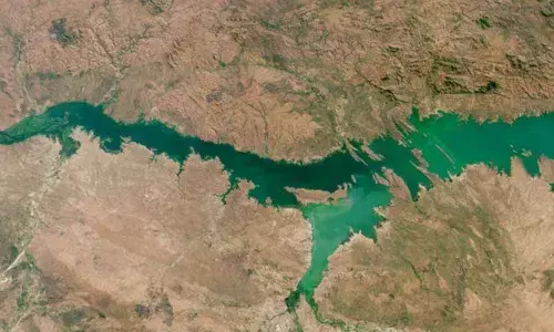Lakes worldwide experiencing more severe algal blooms: Study