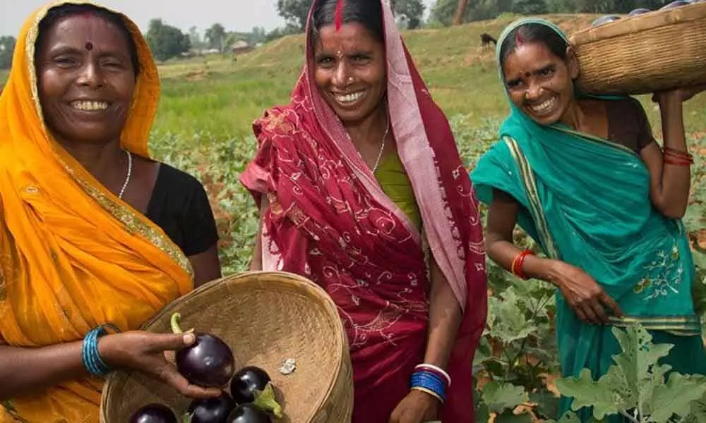 Women, the key to food security