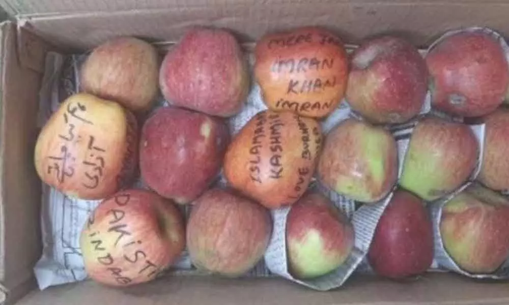 Kashmiri apples with I luv Burhan Wani message