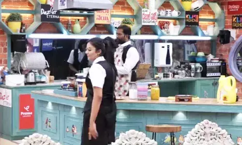 Bigg Boss Telugu Season 3: Episode 87 Highlights