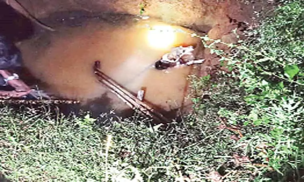 Dog falls in well, saved after 3 days