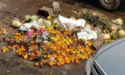 Garbage dumped on road