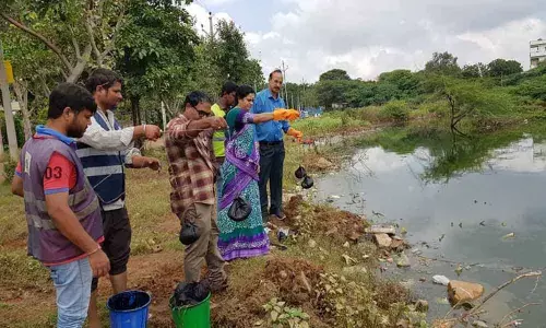 Corporator Lakshmi Prasanna releases oil balls