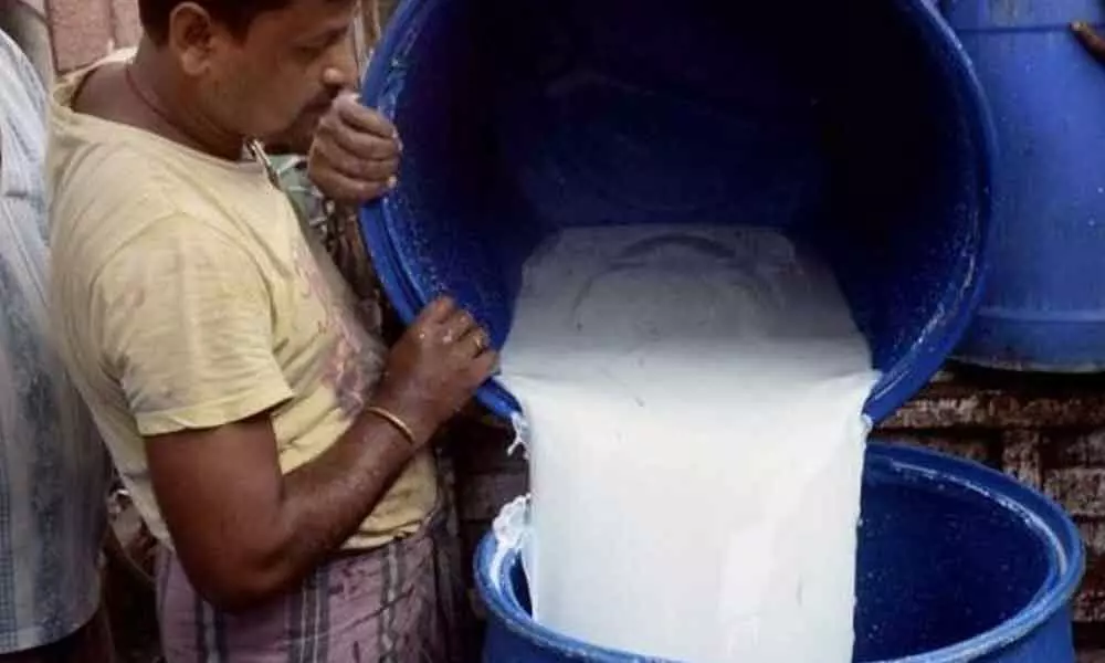 Processed milk in India does not meet quality, safety norms: FSSAI study