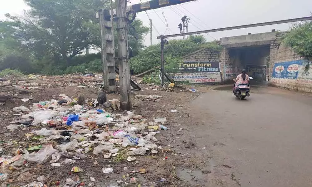 Garbage heaps, pigs worry residents