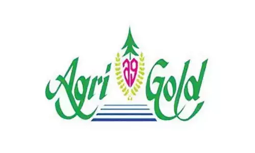 Andhra Pradesh govt seizes properties of Agri Gold and Heera Gold Group