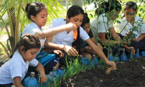 Centre asks all schools to set up kitchen gardens